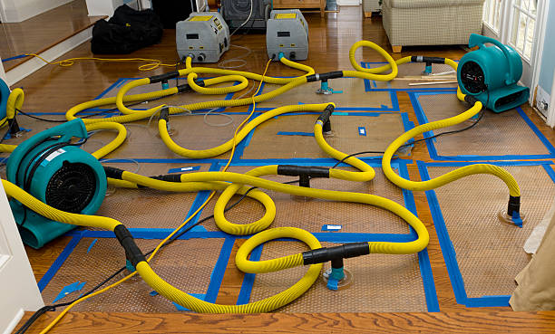 Professional Sewage Cleanup technician working in Lewis Center, OH